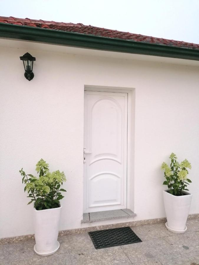 Casa Das Castanheiras Vieira do Minho Buitenkant foto